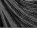 PAVILIA Sherpa Fleece Throw Blanket for Couch, Dark Grey, Plush Soft Fuzzy Sofa Blanket, Cozy Reversible Winter Throw for Women Men, 50x60 Inches