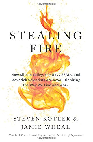 Stealing Fire: How Silicon Valley, the Navy SEALs, and Maverick Scientists Are Revolutionizing the Way We Live and Work, by Steven Kotler,