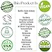 BaeBlu Organic Aloe-Based LUX Liquid Foundation, Natural Vegan Gluten-Free Made in USA, Nutmeg