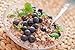 Food to Live Organic Buckwheat Groats, 1 Pound – Whole Grain Buckwheat Seeds by Food to Live. Hulled, Non-GMO, Kosher, Raw, Vegan, Sirtfood. Buckwheat Cereal in Bulk