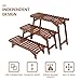 Ufine Freestanding 3 Tier Step Design Plant Stand Indoor Outdoor Wood Plant Shelf Display Rack Ladder Flower Pot Holder Planter Organizerthumb 2