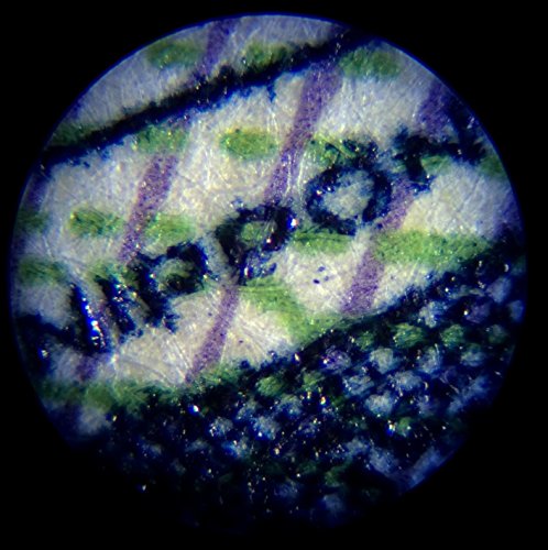 Kenko Do Nature STV-120M LED lights built-in compact portable microscope - Thumbnail 6
