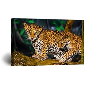 Tittle Leopards Playing on The Tree Branch