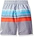 Big Chill Boys' Yarndy with Shark Print Swim Trunk