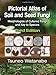 Pictorial Atlas of Soil and Seed Fungi: Morphologies of Cultured Fungi and Key to Species,Third Edition (Mycology)