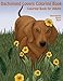 The Dachshund Lovers Coloring Book: Much Loved Dogs and Puppies Coloring Book for Grown Ups (Creative and Unique Coloring Books for Adults) (Volume 14) by Mindful Coloring Books, Jaimey Sharp