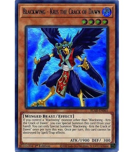 Amazon.com: Complete Custom Deck for Yu-Gi-Oh! 5D's