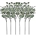 Artificial Eucalyptus Stems Leaves 6 Pcs Straight Silver Dollar Eucalyptus Leaf Silk Greenery Bushes Plastic Plants Floral Faux Greenery Stems for Party Wedding Home Decor(Grey Green)