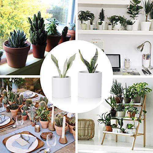 Greenaholics Plant Pots - 5.9 + 4.7 Inch Matt Ceramic Planter with Drainage Hole for Flower, Cactus, Succulent Planting, Set of 2, White