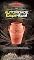 Livro Autoridade Espiritual