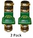 Zoeller 30-0181 PVC Plastic Check Valve, 1-1/2 Inch (2 Pack)