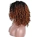 ELIM Ombre Brown Wigs for Black Women Short Afro Wig Kinky Curly Wig Realistic Looking Heat Resistant Full Wigs Z114