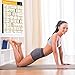 Bodyweight Exercise Poster - Total Body Workout - Personal Trainer Fitness Program - Home Gym Poster - Tones Core, Abs, Legs, Gluts & Upper Body - Improves Training Routine