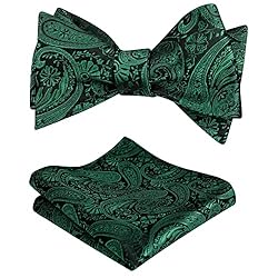 Alizeal Men Self-tied Paisley Bow Tie and Pocket