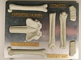 Large Skeleton (bottom half) H103 Halloween Chocolate Candy Mold