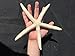 Nautical Beach Decor Extra Large 10 Pack REAL White Finger Starfish Wedding Decor 6-8 inch - Sea Stars (6-8 inch)