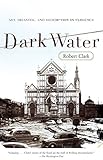 Dark Water: Art, Disaster, and Redemption in Florence by Robert Clark