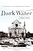 Dark Water: Art, Disaster, and Redemption in Florence by Robert Clark