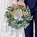 Outgeek Artificial Eucalyptus 2PCS 6.5ft Artificial Silver Dollar Eucalyptus Leaves Garland Artificial Willow Leaves Hanging Greenery Garland Artificial Vine Wedding Decorations Indoor Outdoor (2PCS)