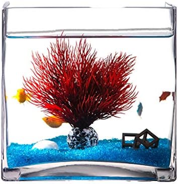 Aquarium, Fish Tank Personality Creative Square Glass Fish Tank Aquarium Home Living Room Desktop Turtle Tank Aquarium Decoration Aquarium Kit (Size : XL)