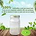 Fermentation Lids for Wide Mouth Mason Jars, Made of Maintenance Free Silicone Airlock Waterless and BPA Free, 5 Pcs(Green)