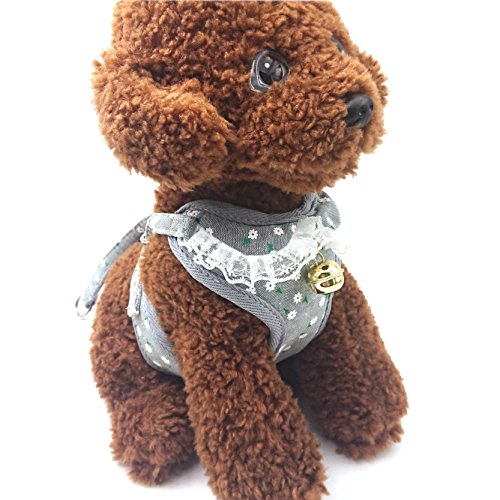 M2cbridge Small Dog Harness Leash Leads Set Step-in Soft Mesh Vest Cat Collar (M, Gray)