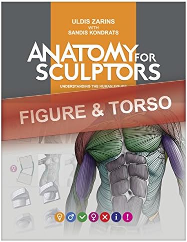 Figure & Torso Anatomy For Artists: Understanding the human form (Anatomy For Sculptors Book 1) Kindle Edition