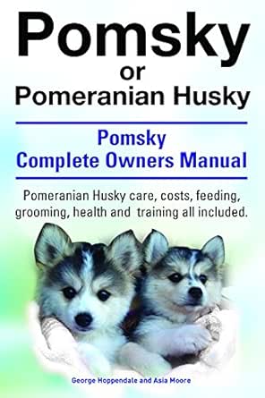 pomeranian dog husky