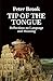 Tip of the Tongue: Reflections on Language and Meaning by