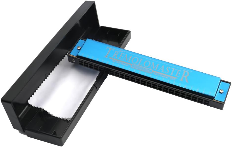 Armonica de para principiantes ninos de 24 agujeros de serie dual de