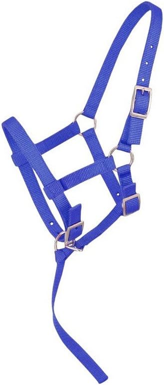 Tough 1 Nylon Foal Halter, Royal Blue, Suckling: Sports & Outdoors