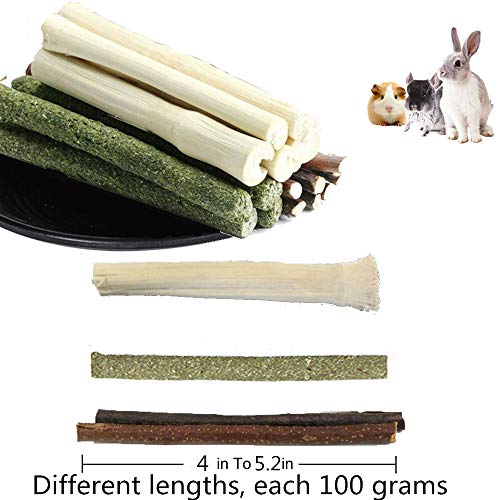 1 FLOURITHING+Combined+Timothy+Chinchilla+Squirrel