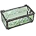 J Devlin Glass Art Box 178 Series Stained Glass Decorative Dragonfly Box for Trinket, Keepsake, or Jewelry - Available in Clear or Sage Green (Sage Green)