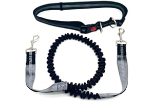 Hands Free Dog Waist Leash Double Handle Bungee Reflective Adjustable for Running Walking Hiking