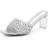 Shoe Land Clear Heels for Women – 3 Inch Chunky Heeled Mules, Transparent Slip-On Square Toe Slides | Dressy Clear Sandals for Wedding, Party & Casual Wear