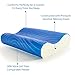 ViscoSoft Hypoallergenic Memory Foam Queen Arctic Gel Contour Pillow with Removable Cover