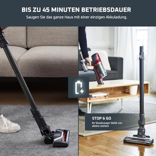 X-Pert 6.60 Animal Akkustaubsauger, 100W Leistung, 45 Min Laufzeit, kabellos & beutellos, LED-Düse, herausnehmbarer Akku, inkl. Fugendüse, Wandhalterung und Tierhaarbürste, rot/schwarz, RH6878