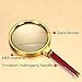 SDMH magnifying glass, 10X old man reading hand-held magnifying glass, jewelry jade identification, imitation red wood handle, insect and hobby observation (Small-80mm)
