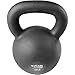 Titan Fitness 55 LB Cast Iron Kettlebell, Single Piece Casting, LB Markings, Full Body Workout