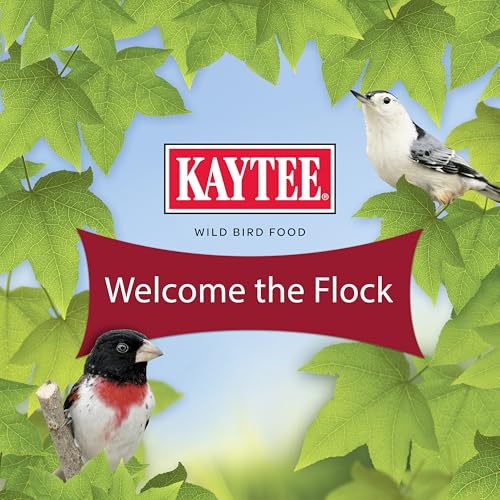 KAYTEE NYJER WILD BIRD FOOD SEED, 5 POUND