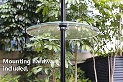 13 1/2 Inch Clear Glass Two-Way Squirrel Baffle and