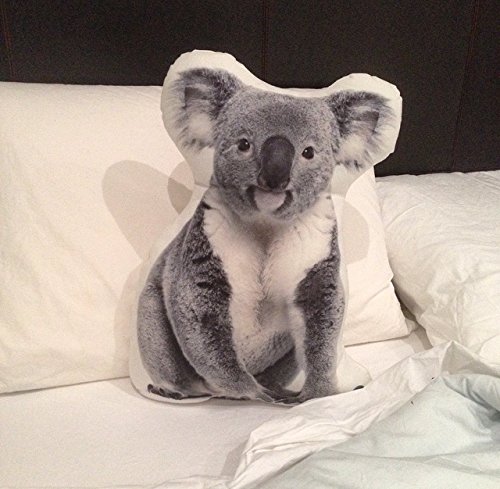 Cushion Co Koala Baby Bear Shaped Pillow Pet 16 X 12 Buy