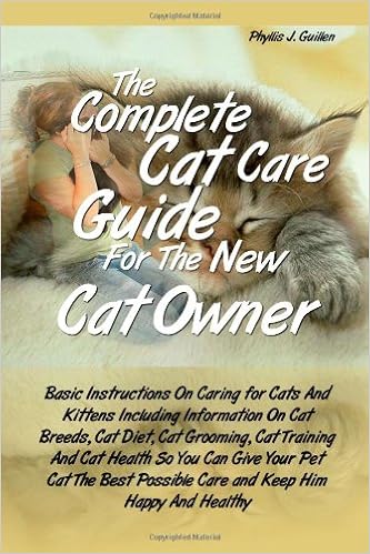 basic cat care