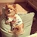 CuteBone Dog Christmas Pajamas Puppy Onesies Small Dogs Soft Pjs Coat Cat Apparel Comfy Pet Clothes Outfit Doggie Bodysuit PJD02