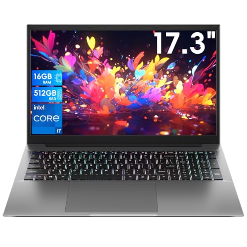 BIRDPLAY 17.3-Inch Laptop