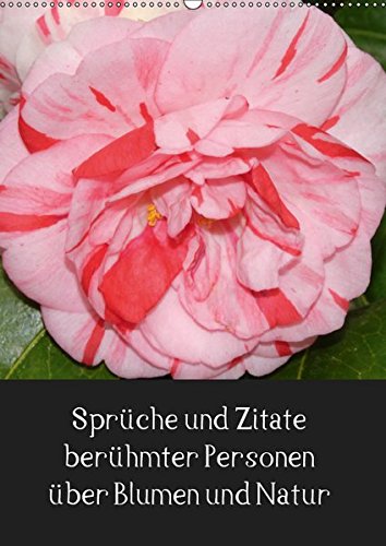 Get Spruch natur HD