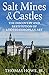 Salt Mines and Castles: The Discovery and Restitution of Looted European Art