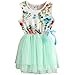 Niyage Little Girls Sleeveless Floral Princess Dress Tulle Tutu Sundress 5 Green