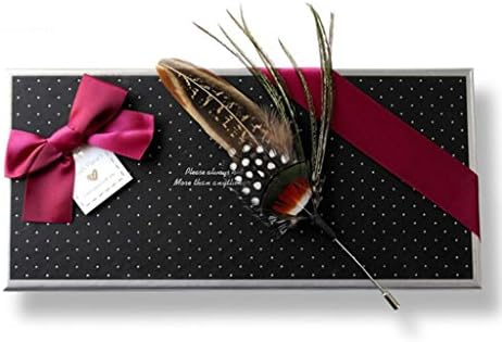 AlinaFashionExpress Men's Real Feather Brooch Lapel Stick Pin