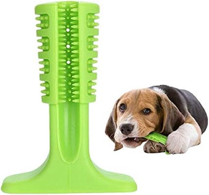 dog chewing toothbrush